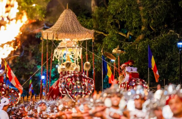 1000334449