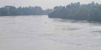 කැළණි ගංඟා නිම්නයේ පහත්බිම් ප්රදේශවලට සුළු ගංවතුර අවදානමක්