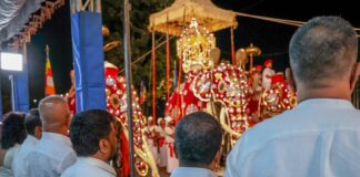 ඓතිහාසික දළදා පෙරහර නැරඹීමට ජනපති එක් වෙයි