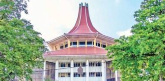 පාර්ලිමේන්තු මන්ත්රී දිලිත් ජයවීර ඉදිරිපත් කළ රිට් පෙත්සම 18 වෙනිදා කැඳවීමට අභියාචනාධිකරණය තීරණය කරයි